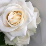 Элегантный букет с розами